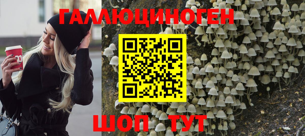 Галлюциногенные грибы мухоморы Красный Сулин